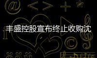 豐盛控股宣布終止收購沈陽新地中心項目