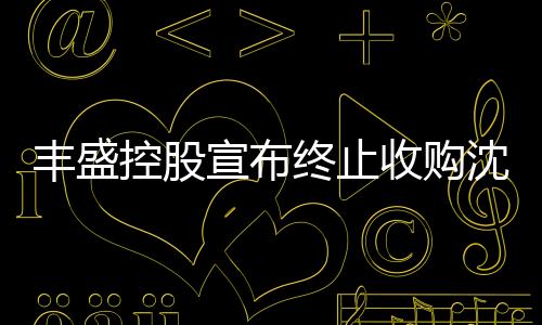 豐盛控股宣布終止收購沈陽新地中心項目