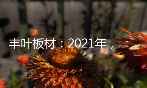 豐葉板材:2021年,我們想要這樣!