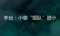 豐臺(tái)：小偷“組隊(duì)”進(jìn)小區(qū)盜竊，10分鐘后全軍覆沒(méi)
