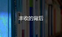豐收的背后