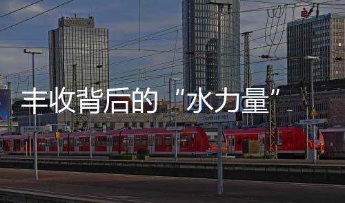 豐收背后的“水力量” 這個灌區如何潤澤皖豫糧倉？