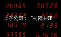 豐寧公司：“村網共建”讓服務向村戶延伸