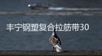 豐寧鋼塑復合拉筋帶30020C價格