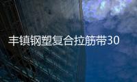 豐鎮(zhèn)鋼塑復(fù)合拉筋帶30020C說明