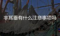 豐耳垂有什么注意事項嗎 破尿酸豐耳垂有什么好處呢