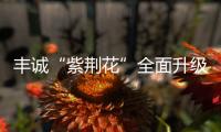 豐誠“紫荊花”全面升級 打造完美居住體驗