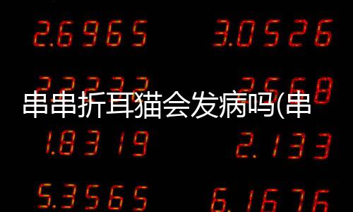 串串折耳貓會(huì)發(fā)病嗎(串串折耳貓能活多久)