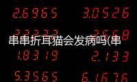 串串折耳貓會發病嗎(串串折耳貓能活多久)
