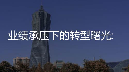 業績承壓下的轉型曙光:歐派家居首現負增長,但整裝與直營表現搶眼