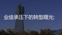 業績承壓下的轉型曙光:歐派家居首現負增長,但整裝與直營表現搶眼