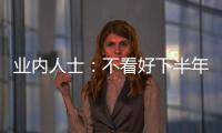 業(yè)內(nèi)人士：不看好下半年集運市場