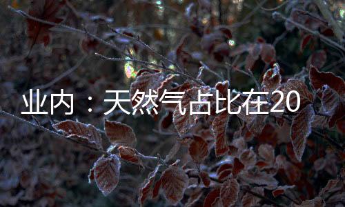 業內：天然氣占比在2040年前將持續增加