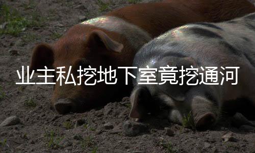業主私挖地下室竟挖通河道？律師：或面臨刑事處罰