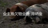業主拖欠物業費 滯納金竟達55萬