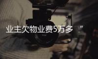 業(yè)主欠物業(yè)費(fèi)5萬多 “滯納金”卻高達(dá)55萬 怎么算出來的？