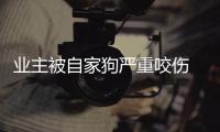 業主被自家狗嚴重咬傷 狗前胸毛發上沾滿血跡讓人唏噓