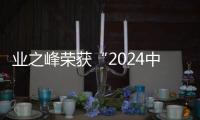 業(yè)之峰榮獲“2024中國(guó)家居行業(yè)價(jià)值100公司”