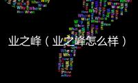 業之峰（業之峰怎么樣）