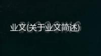 業文(關于業文簡述)