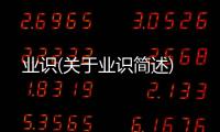 業識(關于業識簡述)