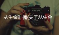 叢生金葉槐(關于叢生金葉槐簡述)