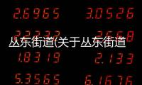 叢東街道(關于叢東街道簡述)