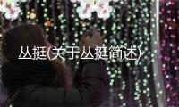 叢挺(關(guān)于叢挺簡(jiǎn)述)