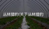 叢林獵豹(關于叢林獵豹簡述)