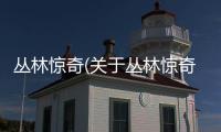 叢林驚奇(關(guān)于叢林驚奇簡(jiǎn)述)