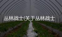 叢林戰士(關于叢林戰士簡述)