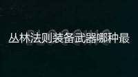 叢林法則裝備武器哪種最好？叢林法則大逃殺如何選擇最適合自己的裝備！