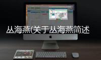 叢海燕(關于叢海燕簡述)