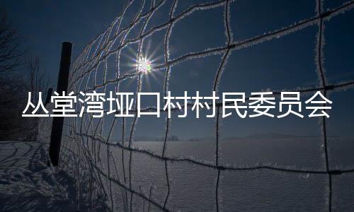 叢堂灣埡口村村民委員會(huì)(關(guān)于叢堂灣埡口村村民委員會(huì)簡(jiǎn)述)