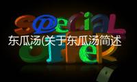 東瓜湯(關于東瓜湯簡述)
