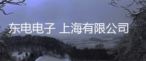 東電電子 上海有限公司(關(guān)于東電電子 上海有限公司簡(jiǎn)述)