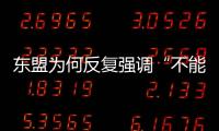 東盟為何反復強調“不能成為代理人”？