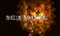 東紅(關(guān)于東紅簡述)