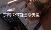 東南DX3首選尊貴型 足夠安全/配置豐富