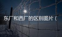 東廠和西廠的區別圖片（東廠和西廠的區別）