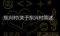 東興村(關(guān)于東興村簡(jiǎn)述)