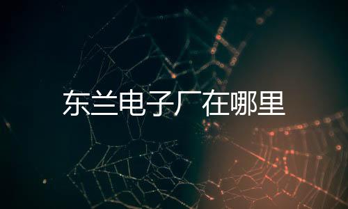 東蘭電子廠在哪里