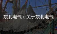 東北電氣（關于東北電氣的基本情況說明介紹）