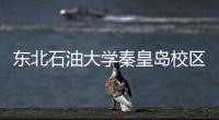 東北石油大學秦皇島校區官網學生工作板塊