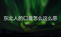 東北人的口音怎么這么惡心（東北人真他媽惡心）