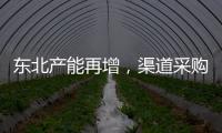 東北產能再增，渠道采購謹慎！,行業資訊