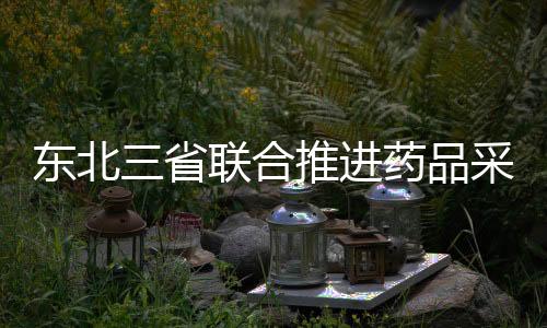 東北三省聯(lián)合推進(jìn)藥品采購兩票制