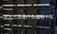 東北三寶是什么植物（東北三寶是什么）