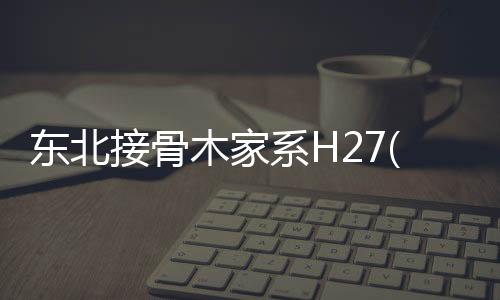 東北接骨木家系H27(關于東北接骨木家系H27簡述)