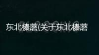 東北榛蘑(關于東北榛蘑簡述)